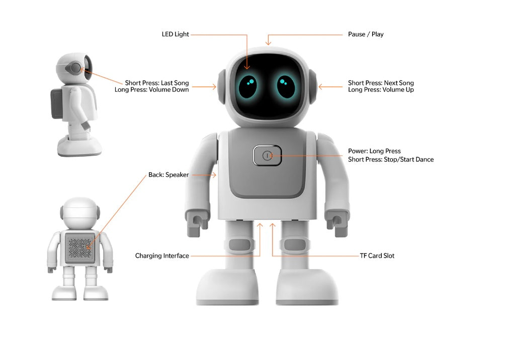 Dancing Robert: Interactive Companion Robot